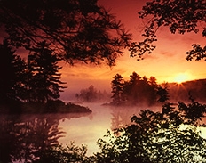 sunrise