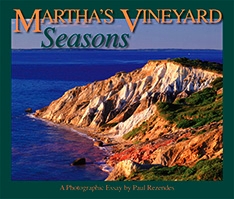 martha's vineyard seasons