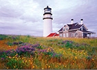 new england lighthouses note card