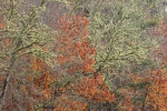 D-WMV14
